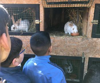 Rozvojový tím v akcii / Učíme sa pre život: Na gazdovskom dvore  - foto