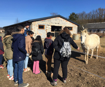 Rozvojový tím v akcii / Učíme sa pre život: Na gazdovskom dvore  - foto