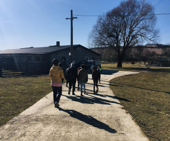 Rozvojový tím v akcii / Učíme sa pre život: Na gazdovskom dvore  - foto