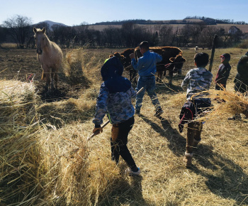 Rozvojový tím v akcii / Učíme sa pre život: Na gazdovskom dvore  - foto