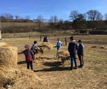 Rozvojový tím v akcii / Učíme sa pre život: Na gazdovskom dvore  - foto