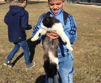 Rozvojový tím v akcii / Učíme sa pre život: Na gazdovskom dvore  - foto