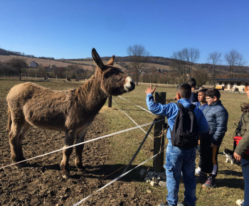 Rozvojový tím v akcii / Učíme sa pre život: Na gazdovskom dvore  - foto