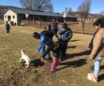 Rozvojový tím v akcii / Učíme sa pre život: Na gazdovskom dvore  - foto