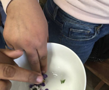 Rozvojový tím v akcii / Rozkvitnutá jar  - foto