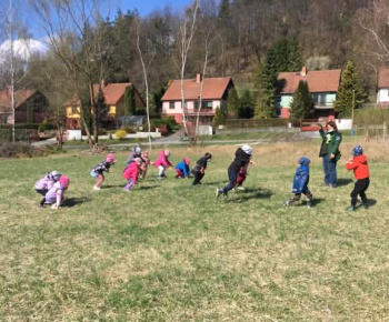Rozvojový tím v akcii / Čo si o žabách nevedel...  - foto
