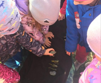 Rozvojový tím v akcii / Čo si o žabách nevedel...  - foto