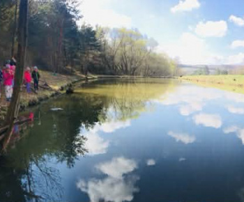 Rozvojový tím v akcii / Čo si o žabách nevedel...  - foto