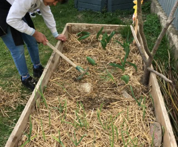 Rozvojový tím v akcii / Jarné práce v záhrade  - foto