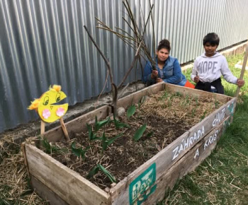 Rozvojový tím v akcii / Jarné práce v záhrade  - foto