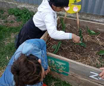 Rozvojový tím v akcii / Jarné práce v záhrade  - foto