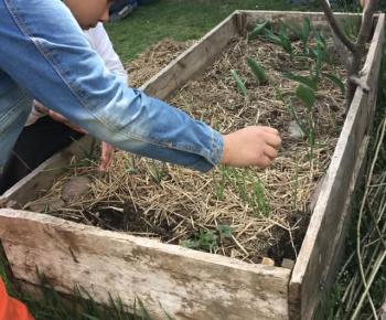 Rozvojový tím v akcii / Jarné práce v záhrade  - foto