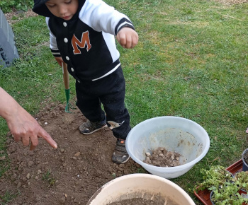 Rozvojový tím v akcii / Sadíme pre život a krásu  - foto