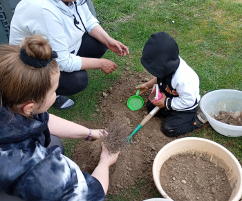Rozvojový tím v akcii / Sadíme pre život a krásu  - foto