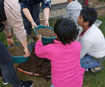 Rozvojový tím v akcii / Sadíme pre život a krásu  - foto