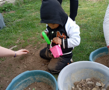 Rozvojový tím v akcii / Sadíme pre život a krásu  - foto