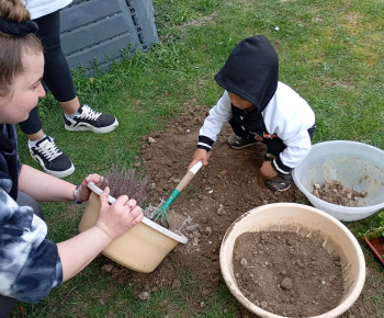 Rozvojový tím v akcii / Sadíme pre život a krásu  - foto
