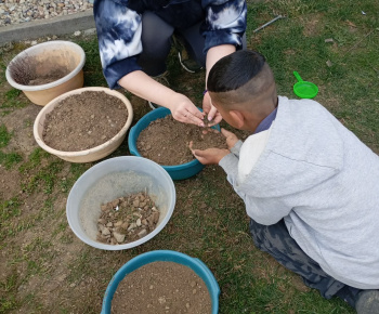 Rozvojový tím v akcii / Sadíme pre život a krásu  - foto