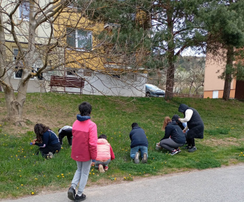 Rozvojový tím v akcii / Malí objavitelia v jarnom lese  - foto