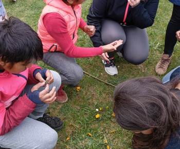 Rozvojový tím v akcii / Malí objavitelia v jarnom lese  - foto