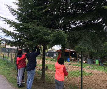 Rozvojový tím v akcii / Malí objavitelia v jarnom lese  - foto