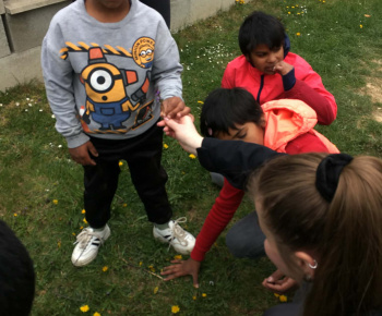 Rozvojový tím v akcii / Malí objavitelia v jarnom lese  - foto