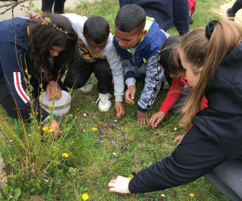 Rozvojový tím v akcii / Malí objavitelia v jarnom lese  - foto
