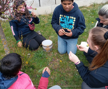 Rozvojový tím v akcii / Malí objavitelia v jarnom lese  - foto
