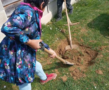 Rozvojový tím v akcii / My a Zem  - foto