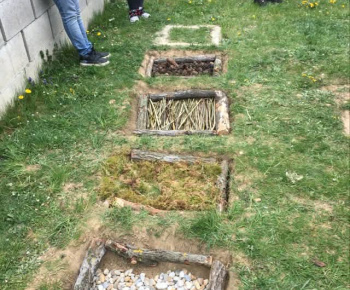 Rozvojový tím v akcii / My a Zem  - foto