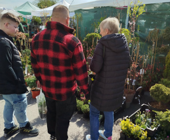 Rozvojový tím v akcii / Príprava na jar – všetko pre dom a záhradu  - foto