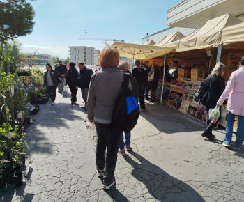 Rozvojový tím v akcii / Príprava na jar – všetko pre dom a záhradu  - foto