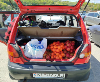 Rozvojový tím v akcii / Príprava na jar – všetko pre dom a záhradu  - foto
