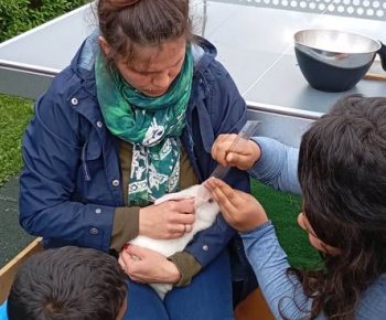 Rozvojový tím v akcii / Dotyk matematiky v prírode  - foto
