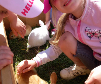 Rozvojový tím v akcii / Animal terapia  - foto