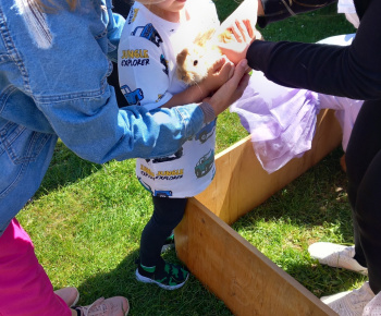 Rozvojový tím v akcii / Animal terapia  - foto