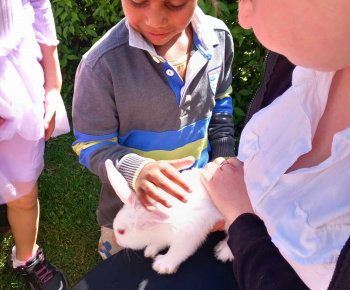 Rozvojový tím v akcii / Animal terapia  - foto