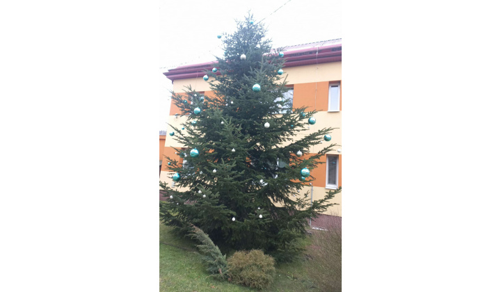 Obecný vianočný stromček pripravený v plnej paráde