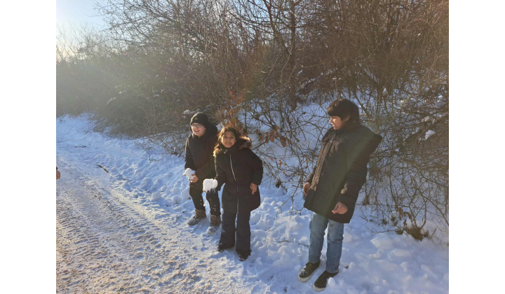 Januárová prechádzka 