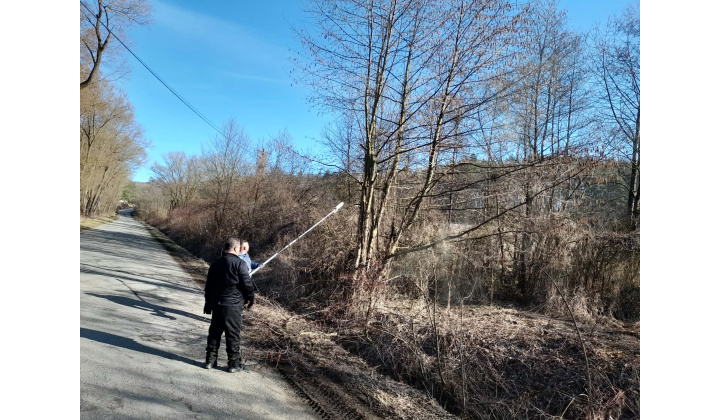 Orezanie stromov pre bezpečnejšie cesty