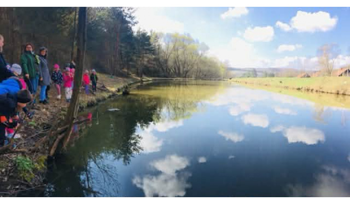 Čo si o žabách nevedel... 