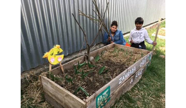 Jarné práce v záhrade 