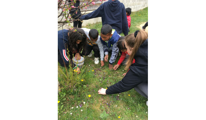 Malí objavitelia v jarnom lese 