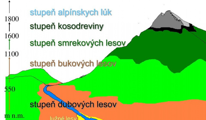 Fotka - VEGETAČNÉ POMERY
