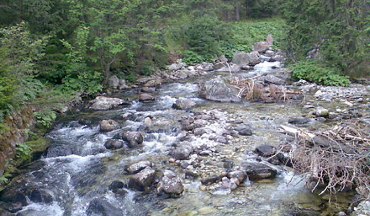 Fotka - VODSTVO