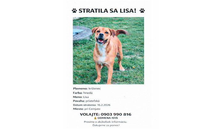 Prosba o pomoc pri hľadaní strateného psa